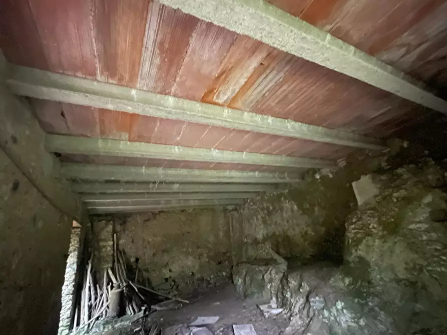 Immagine 45 di Porzione di casa in vendita  a Stazzema
