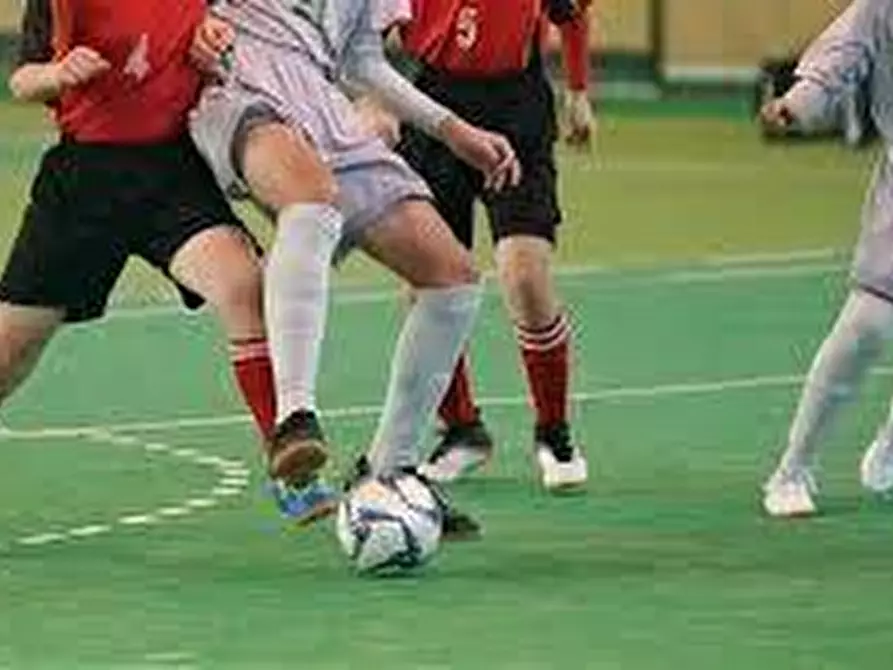 Immagine 4 di Locale commerciale in vendita  a Massa