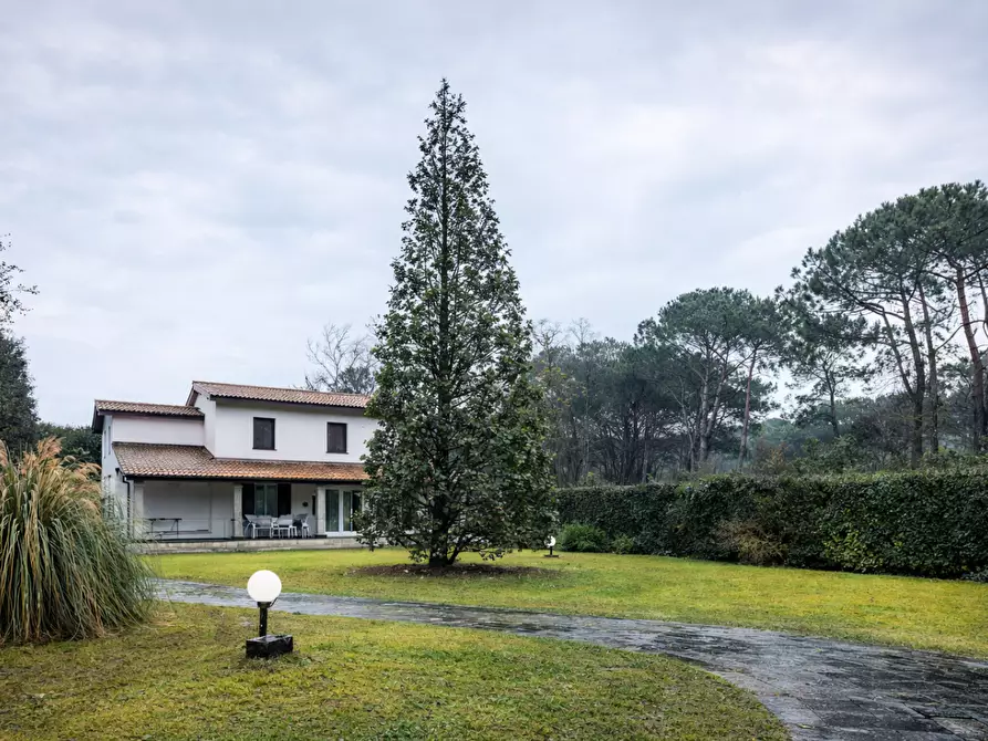 Immagine 2 di Villa in vendita  a Massa