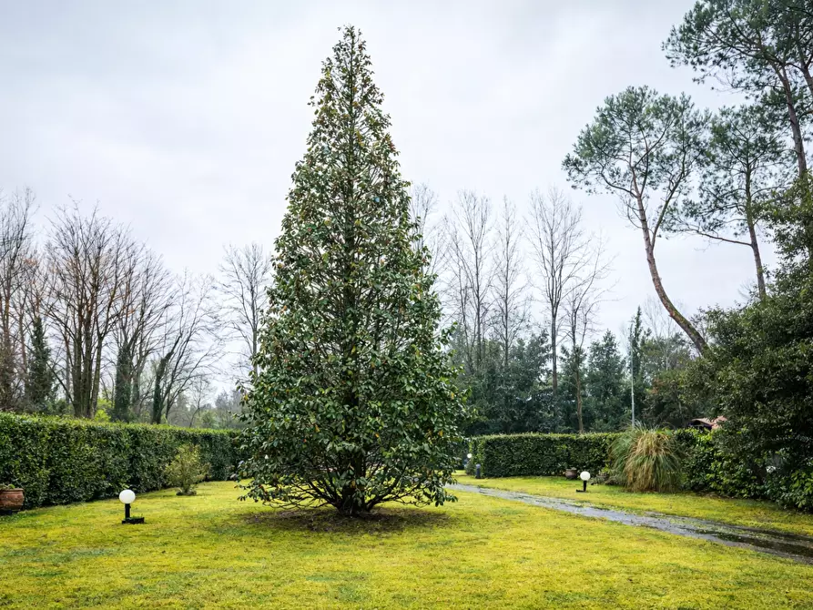 Immagine 6 di Villa in vendita  a Massa