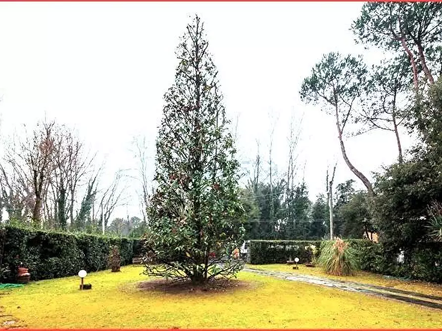 Immagine 3 di Villa in vendita  a Massa