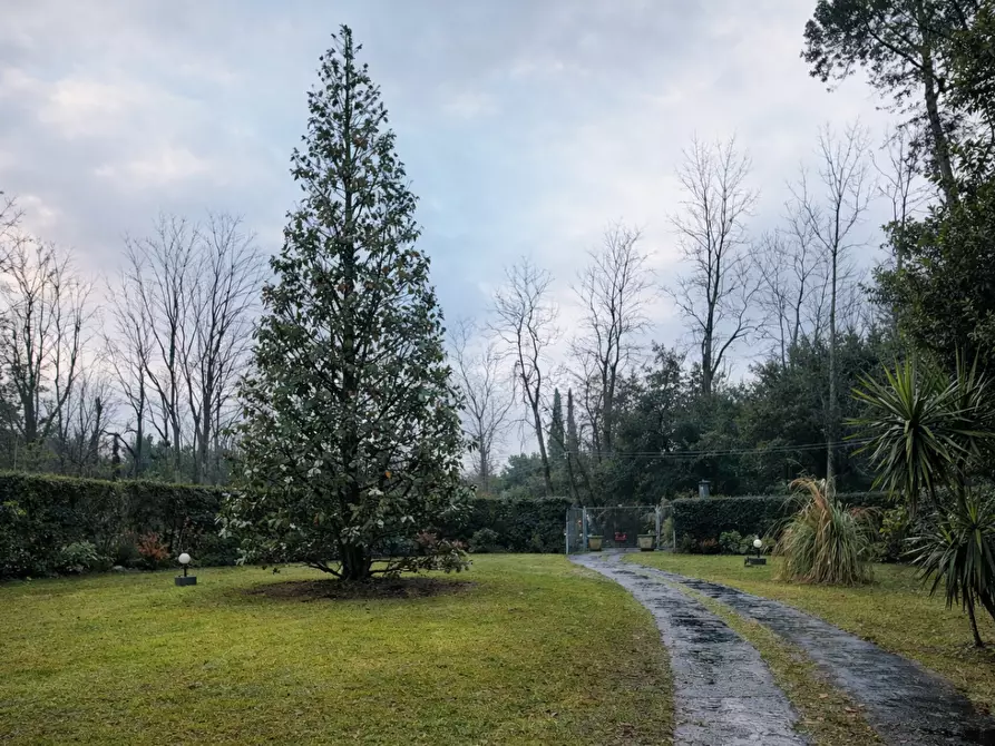 Immagine 5 di Villa in vendita  a Massa