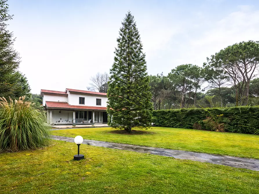 Immagine 3 di Villa in vendita  a Massa