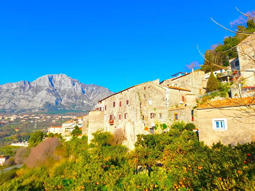 Immagine 2 di Appartamento in vendita  a Ausonia