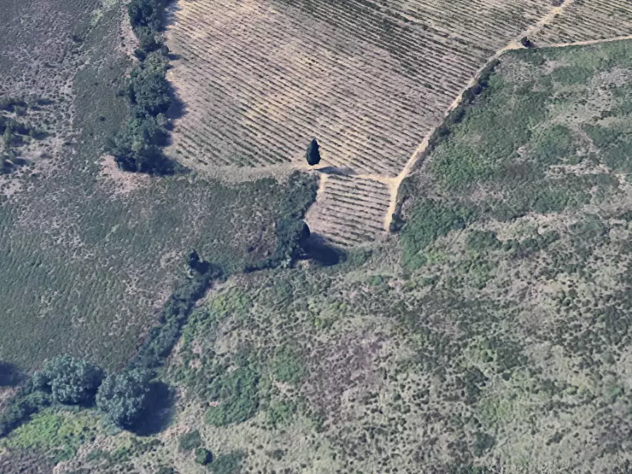 Immagine 1 di Terreno agricolo in vendita  a Poggibonsi