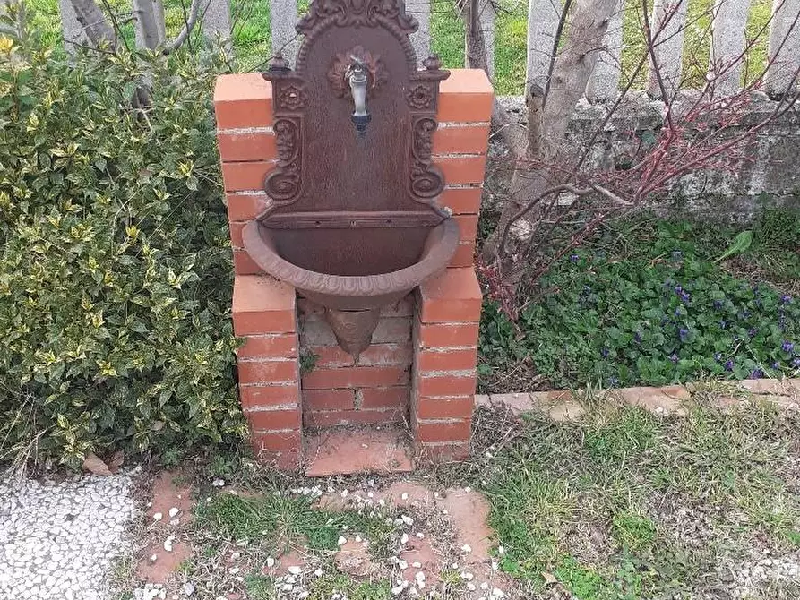 Immagine 2 di Appartamento in vendita  a Massa