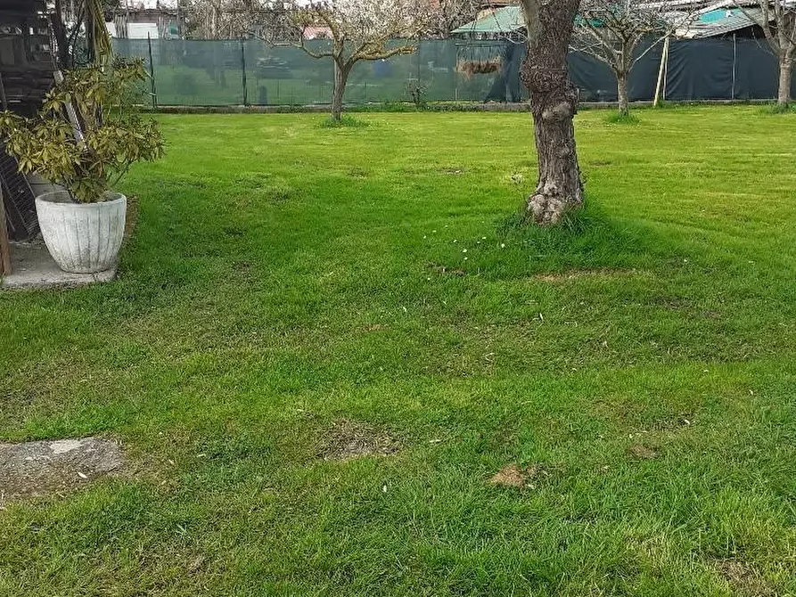 Immagine 23 di Appartamento in vendita  a Massa