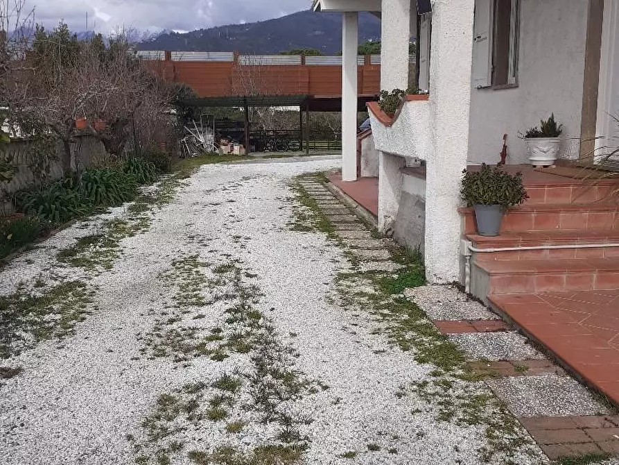 Immagine 5 di Appartamento in vendita  a Massa