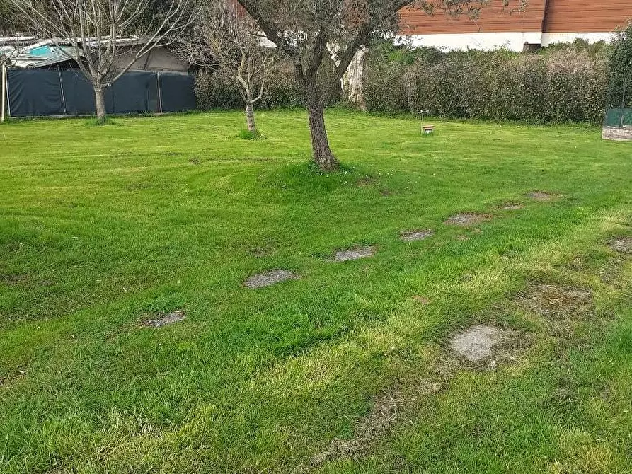 Immagine 22 di Appartamento in vendita  a Massa