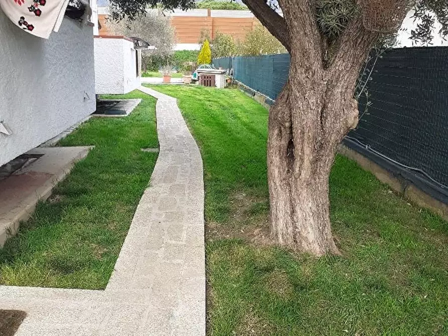 Immagine 19 di Appartamento in vendita  a Massa