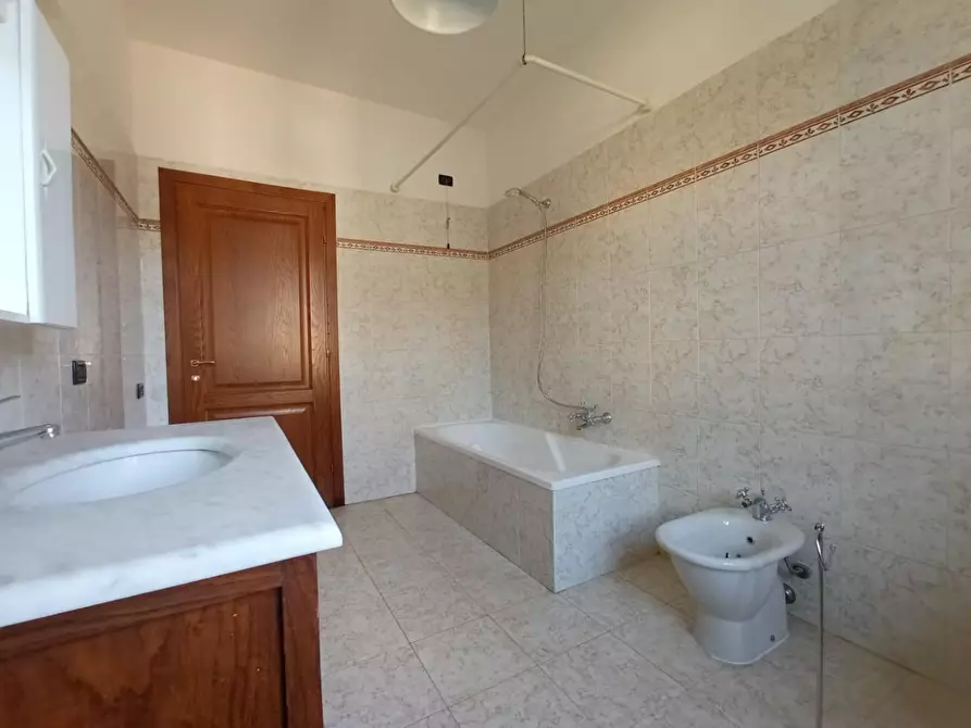 Immagine 4 di Villa in vendita  a Vecchiano