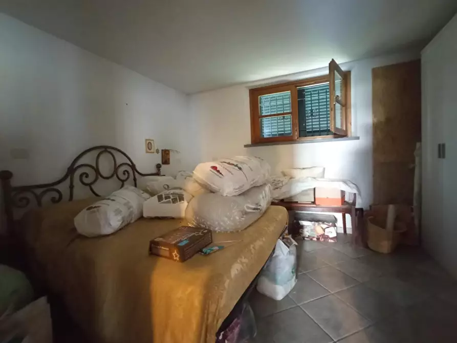 Immagine 10 di Villa in vendita  a Vecchiano