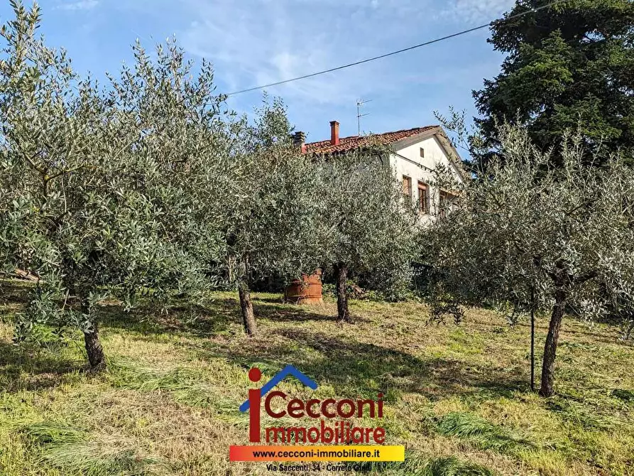 Immagine 3 di Casa indipendente in vendita  a Cerreto Guidi