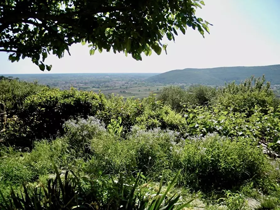 Immagine 27 di Rustico / casale in vendita  a San Giuliano Terme