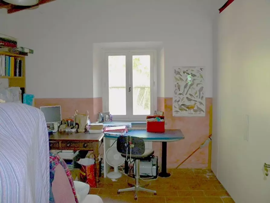 Immagine 34 di Rustico / casale in vendita  a San Giuliano Terme