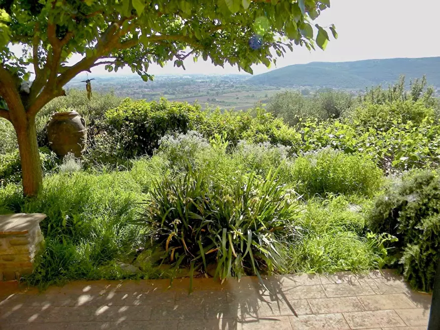 Immagine 25 di Rustico / casale in vendita  a San Giuliano Terme