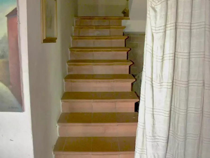 Immagine 60 di Rustico / casale in vendita  a San Giuliano Terme