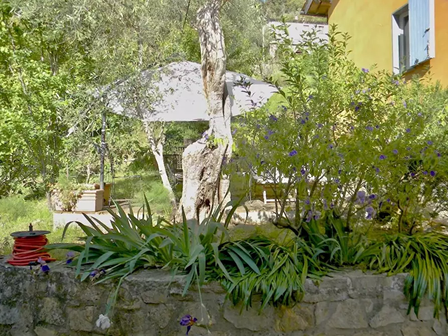 Immagine 24 di Rustico / casale in vendita  a San Giuliano Terme