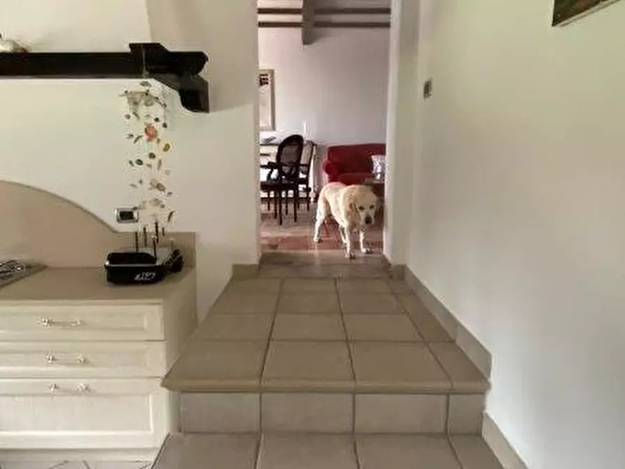 Immagine 23 di Casa semindipendente in vendita  a Massa