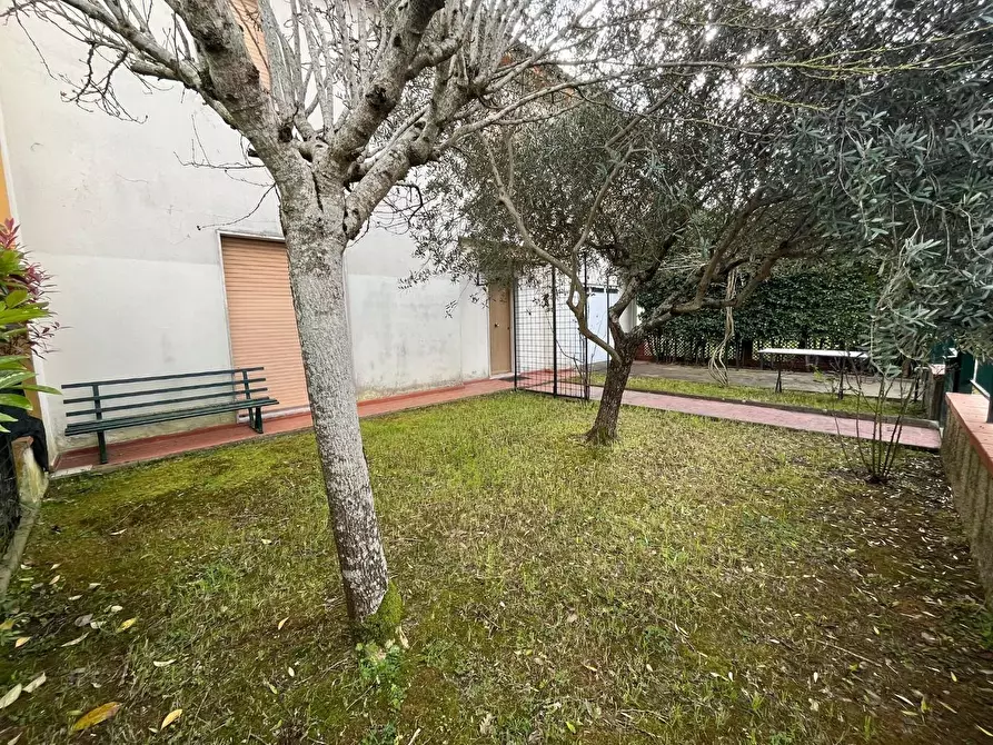 Immagine 25 di Villetta a schiera in vendita  a Crespina Lorenzana