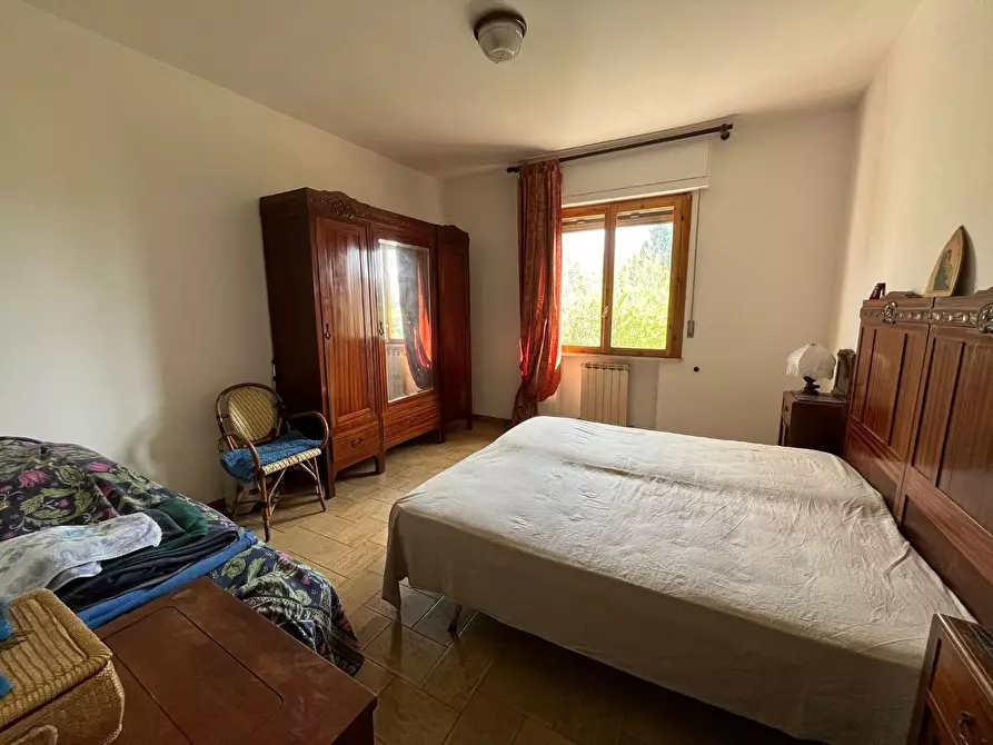 Immagine 20 di Villetta a schiera in vendita  a Crespina Lorenzana