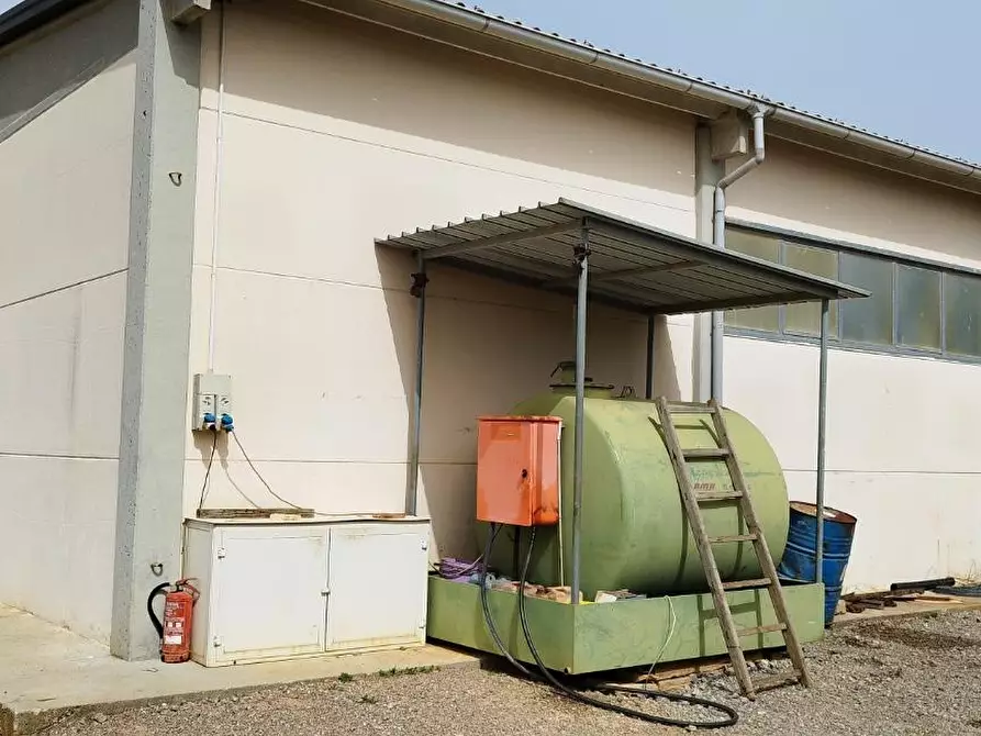 Immagine 18 di Terreno agricolo in vendita  a Magliano In Toscana