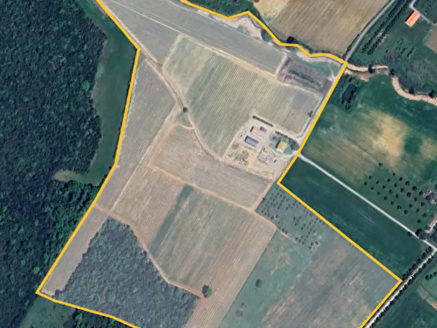 Immagine 4 di Terreno agricolo in vendita  a Magliano In Toscana