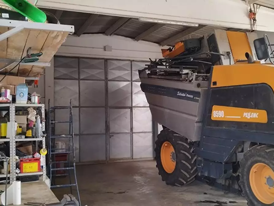 Immagine 20 di Terreno agricolo in vendita  a Magliano In Toscana