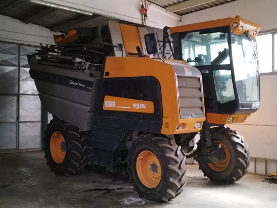 Immagine 19 di Terreno agricolo in vendita  a Magliano In Toscana