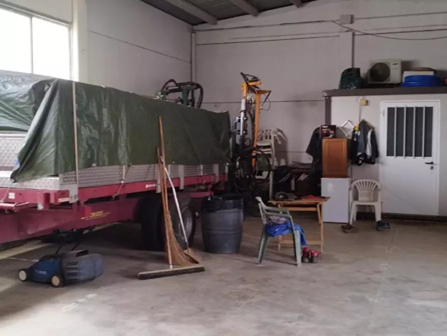 Immagine 21 di Terreno agricolo in vendita  a Magliano In Toscana