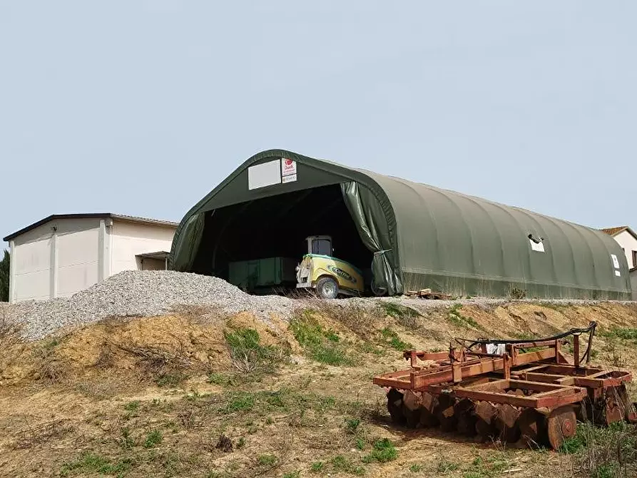 Immagine 14 di Terreno agricolo in vendita  a Magliano In Toscana