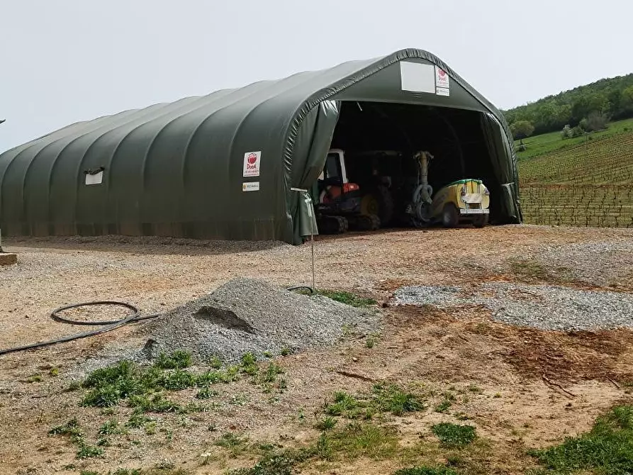 Immagine 11 di Terreno agricolo in vendita  a Magliano In Toscana