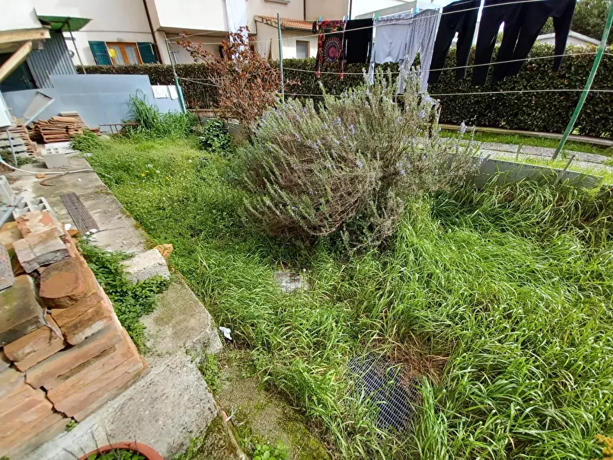 Immagine 22 di Terratetto in vendita  a Capraia E Limite
