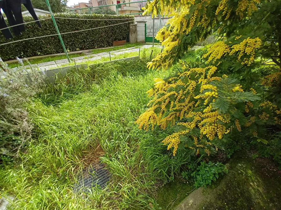 Immagine 23 di Terratetto in vendita  a Capraia E Limite