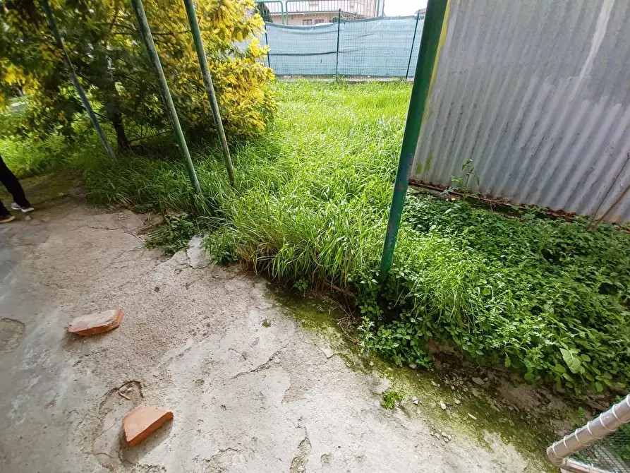 Immagine 19 di Terratetto in vendita  a Capraia E Limite