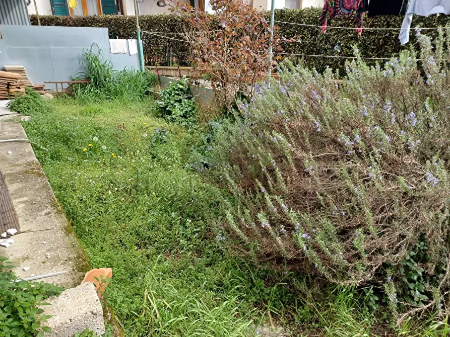 Immagine 21 di Terratetto in vendita  a Capraia E Limite