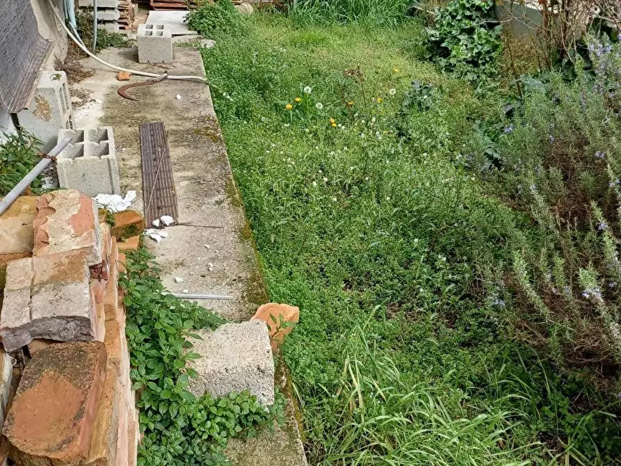 Immagine 20 di Terratetto in vendita  a Capraia E Limite