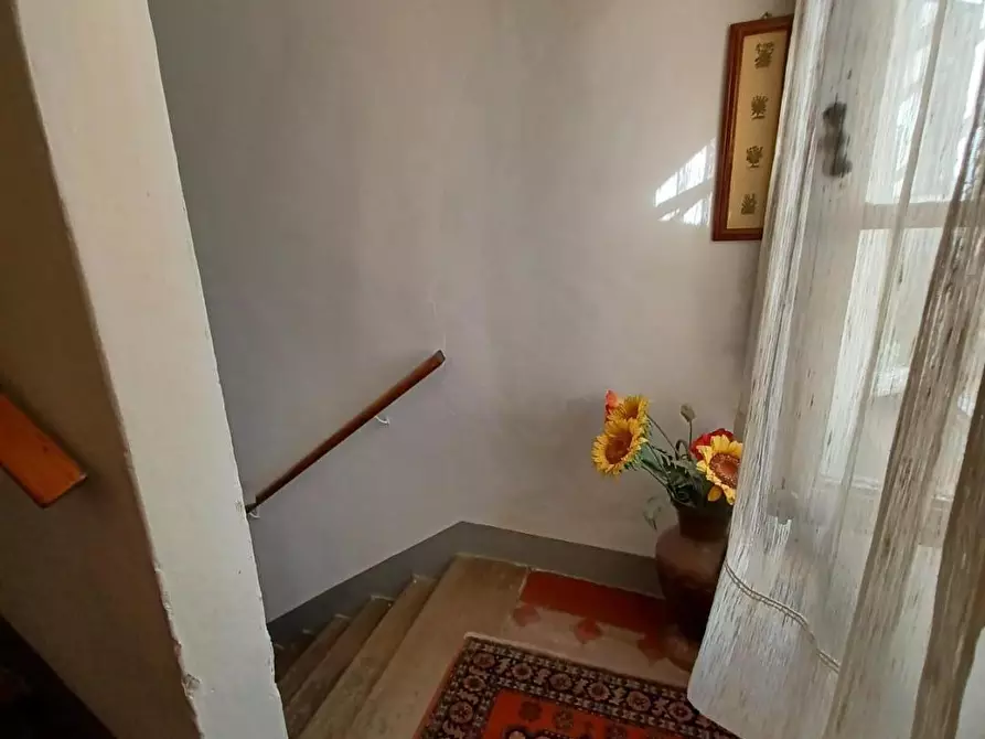 Immagine 10 di Terratetto in vendita  a Capraia E Limite