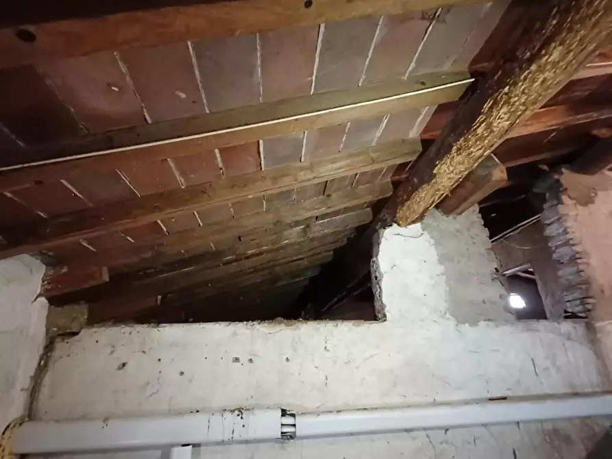 Immagine 16 di Terratetto in vendita  a Capraia E Limite