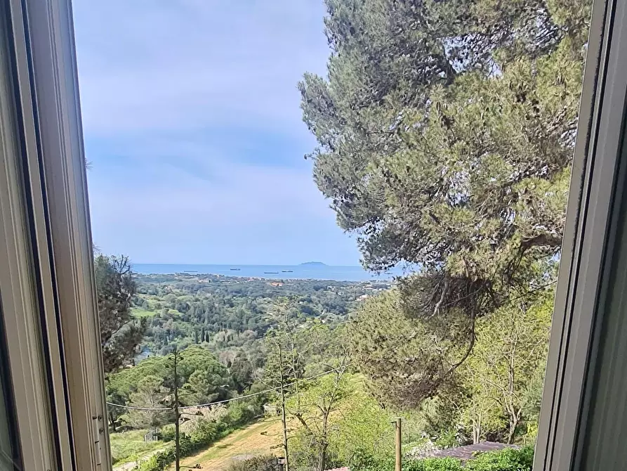 Immagine 10 di Casa semindipendente in vendita  a Livorno