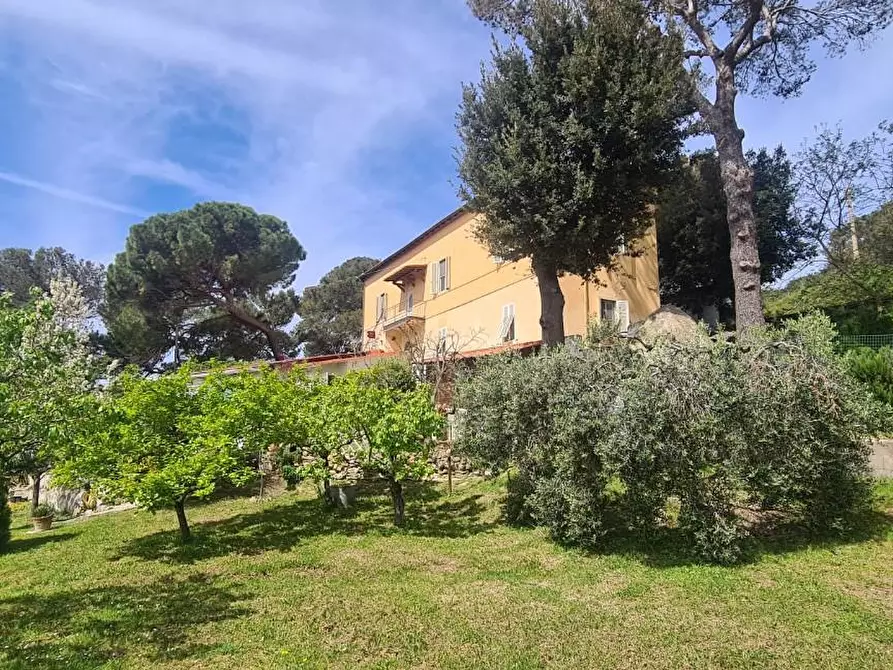 Immagine 47 di Casa semindipendente in vendita  a Livorno