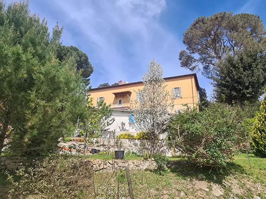Immagine 52 di Casa semindipendente in vendita  a Livorno