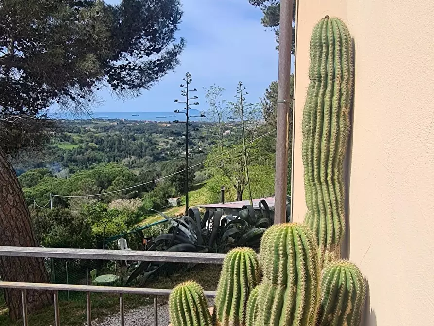 Immagine 45 di Casa semindipendente in vendita  a Livorno