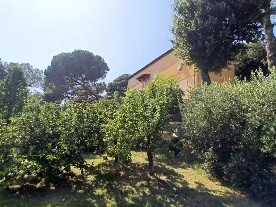 Immagine 2 di Casa semindipendente in vendita  a Livorno
