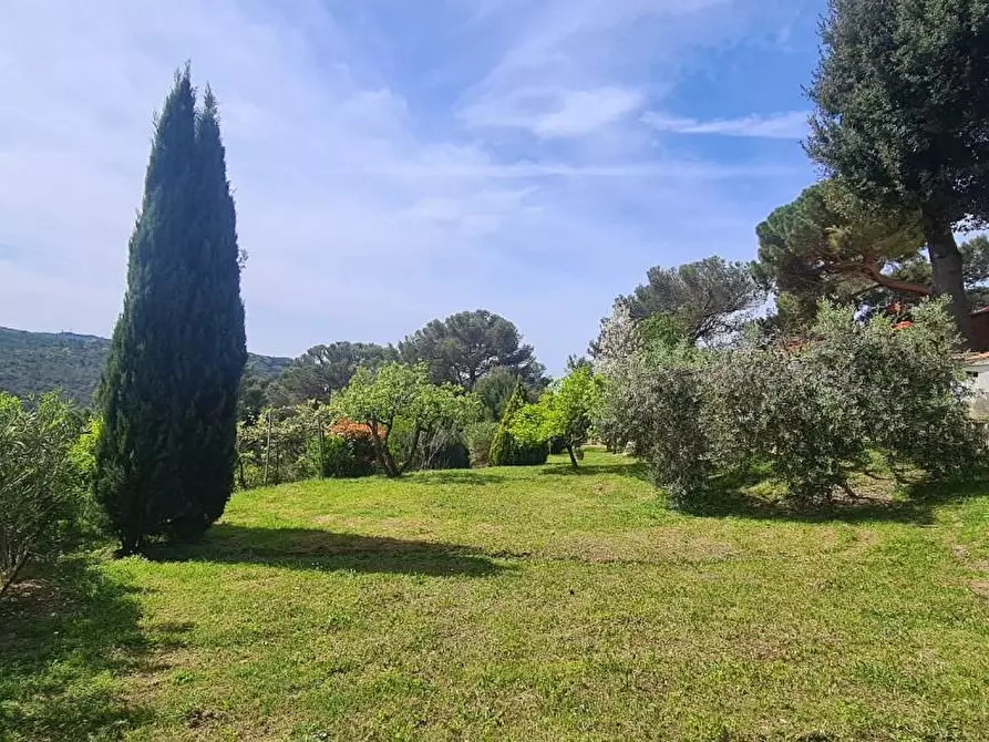 Immagine 48 di Casa semindipendente in vendita  a Livorno