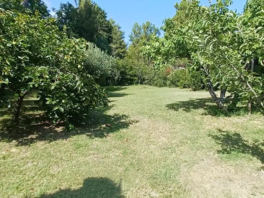 Immagine 55 di Casa semindipendente in vendita  a Livorno