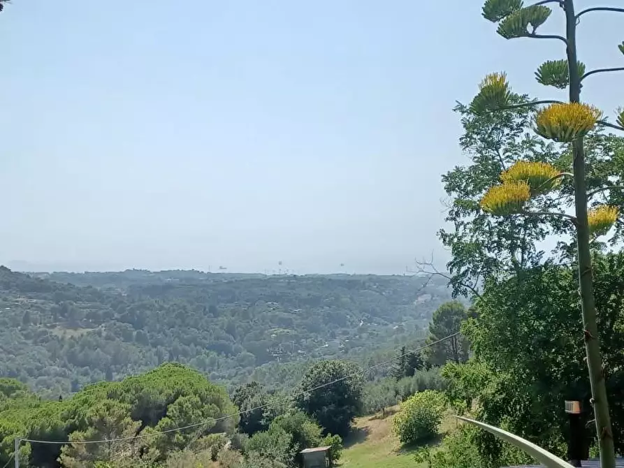 Immagine 41 di Casa semindipendente in vendita  a Livorno