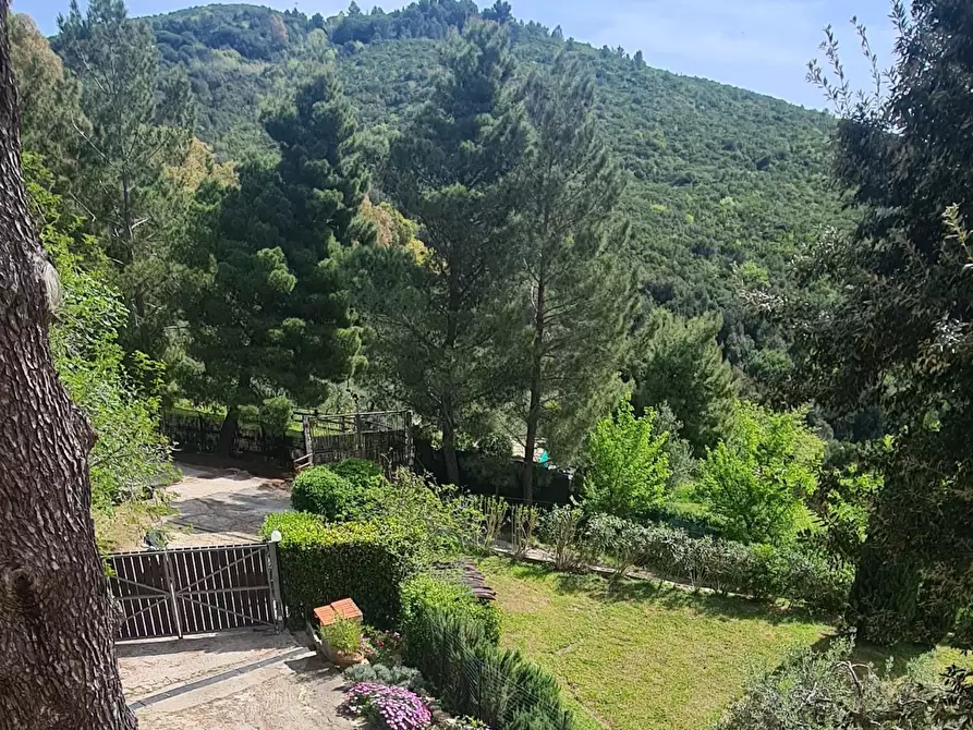 Immagine 42 di Casa semindipendente in vendita  a Livorno