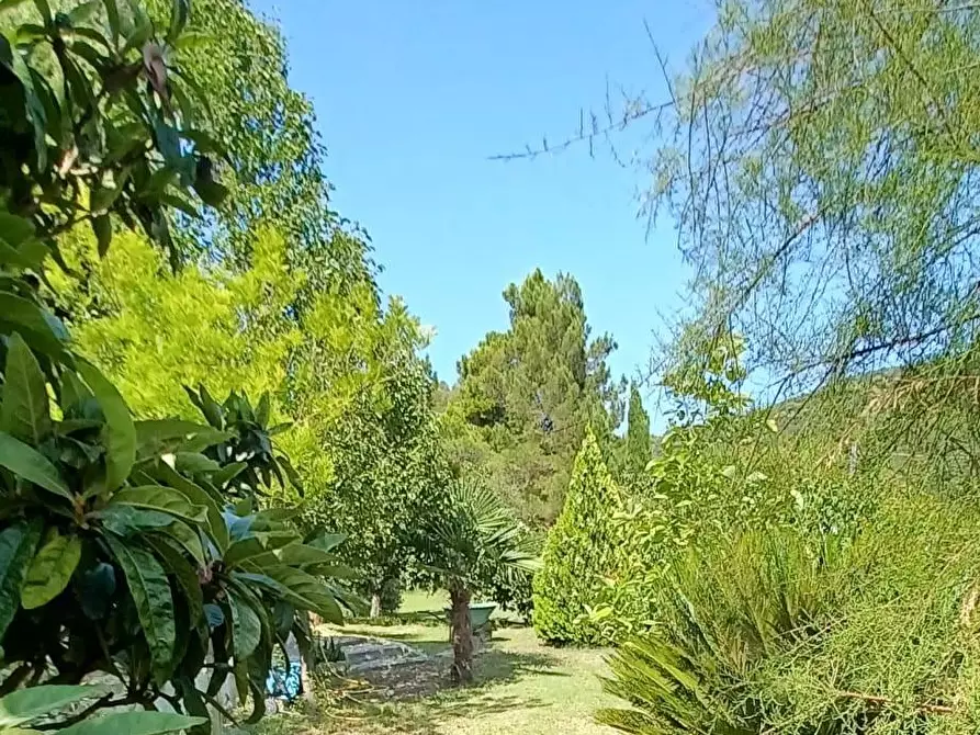 Immagine 39 di Casa semindipendente in vendita  a Livorno