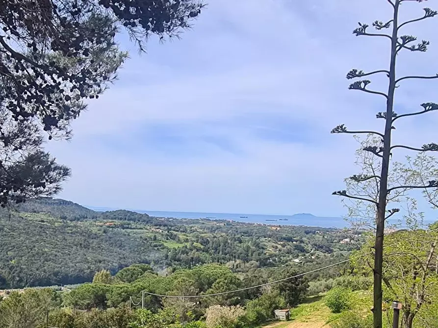 Immagine 46 di Casa semindipendente in vendita  a Livorno